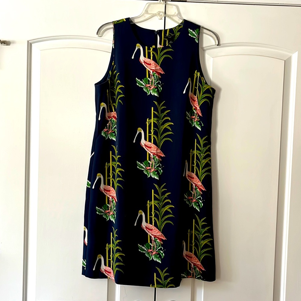 Ann Taylor Dress
